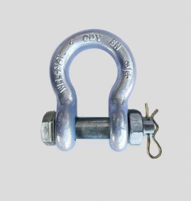BOW SHACKLES WITH SAFETY BOLT